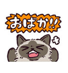 ヒマラヤンです（個別スタンプ：11）