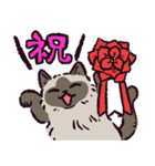 ヒマラヤンです（個別スタンプ：13）