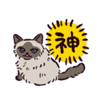 ヒマラヤンです（個別スタンプ：14）