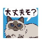 ヒマラヤンです（個別スタンプ：19）