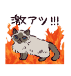 ヒマラヤンです（個別スタンプ：24）