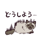 ヒマラヤンです（個別スタンプ：26）