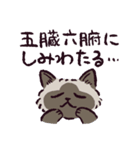 ヒマラヤンです（個別スタンプ：37）