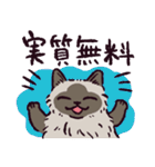 ヒマラヤンです（個別スタンプ：38）