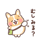 まるまるコーギー 3歳児（個別スタンプ：2）