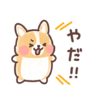 まるまるコーギー 3歳児（個別スタンプ：3）