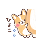 まるまるコーギー 3歳児（個別スタンプ：5）