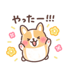まるまるコーギー 3歳児（個別スタンプ：6）
