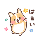 まるまるコーギー 3歳児（個別スタンプ：9）
