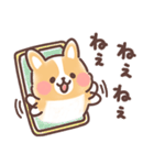 まるまるコーギー 3歳児（個別スタンプ：12）