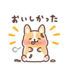 まるまるコーギー 3歳児（個別スタンプ：14）