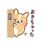 まるまるコーギー 3歳児（個別スタンプ：20）