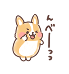 まるまるコーギー 3歳児（個別スタンプ：28）