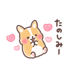 まるまるコーギー 3歳児（個別スタンプ：33）