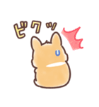 まるまるコーギー 3歳児（個別スタンプ：37）