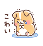 まるまるコーギー 3歳児（個別スタンプ：39）