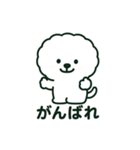 ビションの一言スタンプ（個別スタンプ：4）