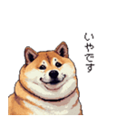 意外と使えるネガティブふとっちょ柴犬（個別スタンプ：2）