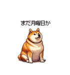 意外と使えるネガティブふとっちょ柴犬（個別スタンプ：3）