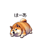 意外と使えるネガティブふとっちょ柴犬（個別スタンプ：4）