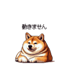 意外と使えるネガティブふとっちょ柴犬（個別スタンプ：7）