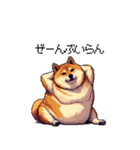 意外と使えるネガティブふとっちょ柴犬（個別スタンプ：10）