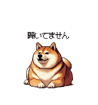 意外と使えるネガティブふとっちょ柴犬（個別スタンプ：11）