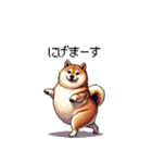 意外と使えるネガティブふとっちょ柴犬（個別スタンプ：13）