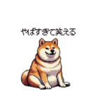 意外と使えるネガティブふとっちょ柴犬（個別スタンプ：14）
