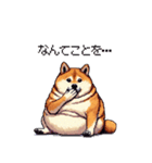 意外と使えるネガティブふとっちょ柴犬（個別スタンプ：16）