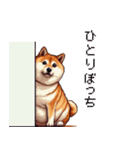 意外と使えるネガティブふとっちょ柴犬（個別スタンプ：19）