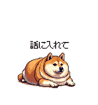 意外と使えるネガティブふとっちょ柴犬（個別スタンプ：20）
