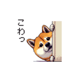意外と使えるネガティブふとっちょ柴犬（個別スタンプ：21）