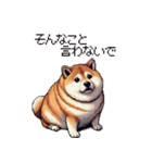 意外と使えるネガティブふとっちょ柴犬（個別スタンプ：24）