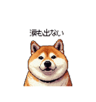 意外と使えるネガティブふとっちょ柴犬（個別スタンプ：25）