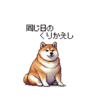 意外と使えるネガティブふとっちょ柴犬（個別スタンプ：29）