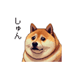意外と使えるネガティブふとっちょ柴犬（個別スタンプ：30）