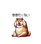 意外と使えるネガティブふとっちょ柴犬（個別スタンプ：32）