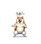 意外と使えるネガティブふとっちょ柴犬（個別スタンプ：34）