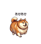 意外と使えるネガティブふとっちょ柴犬（個別スタンプ：35）