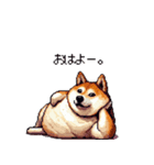 意外と使えるネガティブふとっちょ柴犬（個別スタンプ：36）