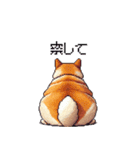 意外と使えるネガティブふとっちょ柴犬（個別スタンプ：38）