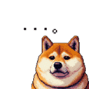 意外と使えるネガティブふとっちょ柴犬（個別スタンプ：39）