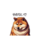 意外と使えるネガティブふとっちょ柴犬（個別スタンプ：40）