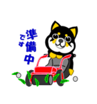 黒い豆しば犬のゴルフ（個別スタンプ：12）