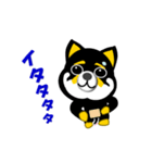 黒い豆しば犬のゴルフ（個別スタンプ：33）