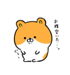 ハムスター界隈（個別スタンプ：13）