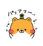 ハムスター界隈（個別スタンプ：24）