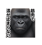ゴリマッチョ降臨（個別スタンプ：22）