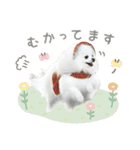 ポメラニアンのびわうるち（個別スタンプ：3）